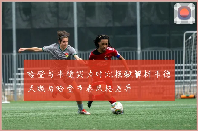 哈登与韦德实力对比杨毅解析韦德天赋与哈登节奏风格差异
